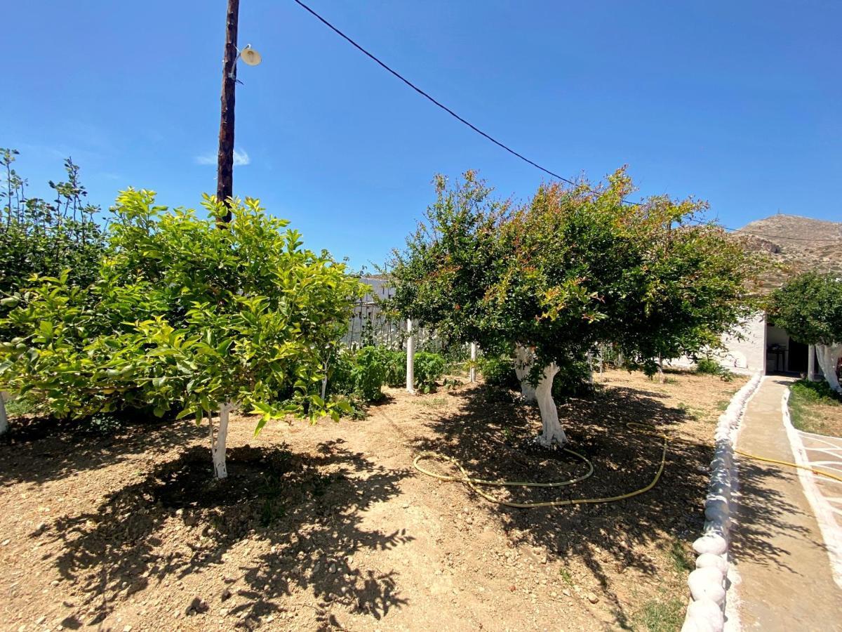 Michail Suites Afiartis Karpathos Екстер'єр фото